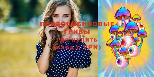 индика Наволоки