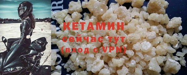 прущие грибы Надым