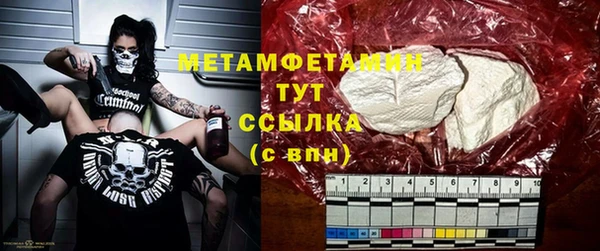 прущие грибы Надым