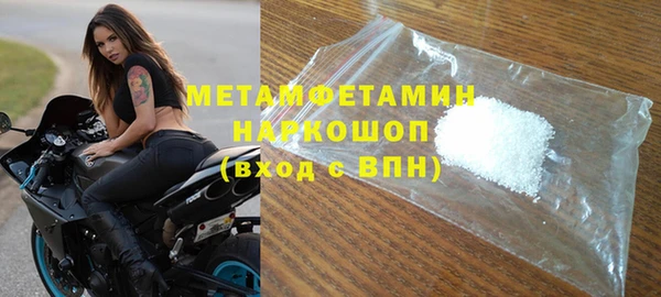 прущие грибы Надым