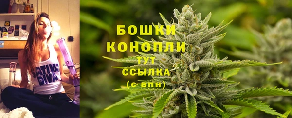 индика Наволоки