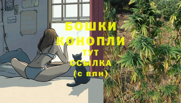 индика Наволоки