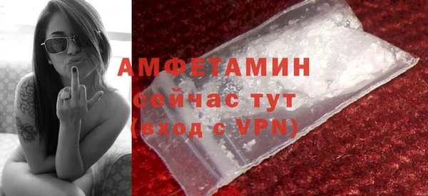 прущие грибы Надым