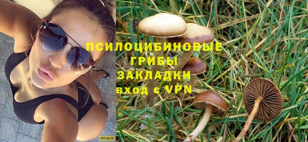 индика Наволоки