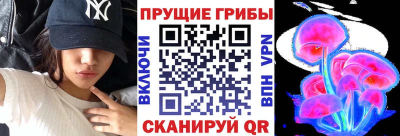 Галлюциногенные грибы Psilocybe Слободской